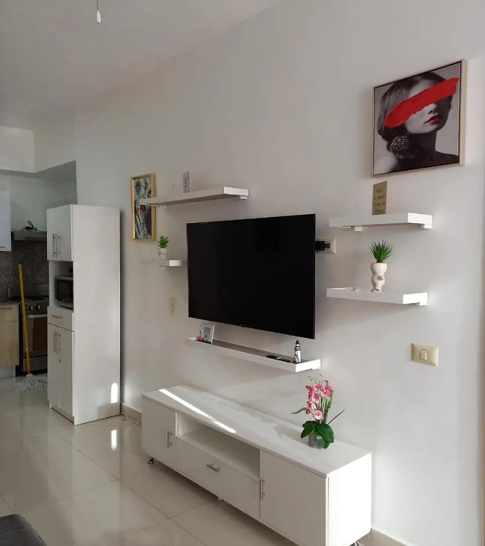 The Most Comfortable Apartment In Boca Chica Dominikanska republiken